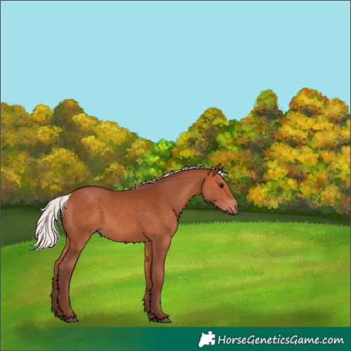 Horse Color:Chocolate Silver Bay 