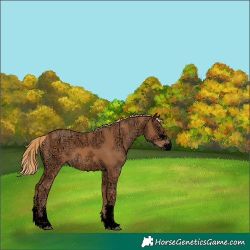 Horse Color:Void Chestnut Ice Sabino 