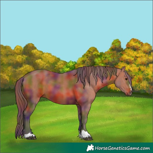 Horse Color:Nacre Chocolate Bay 