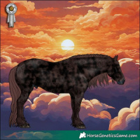 Horse Color:Chocolate Black Ice