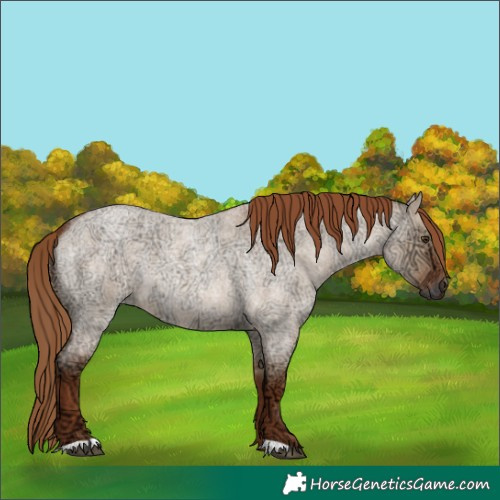 Horse Color:Red Dun Ice Roan 