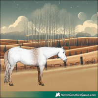 Horse Color:Gray Chestnut 