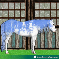 Horse Color:Watercolor White Spotted Liver Chestnut Sabino 