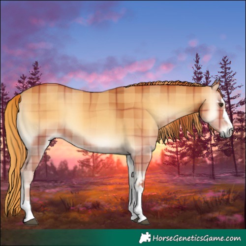 Horse Color:Plaid  Red Onyx 