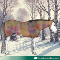 Horse Color:Nacre Bay Splash 