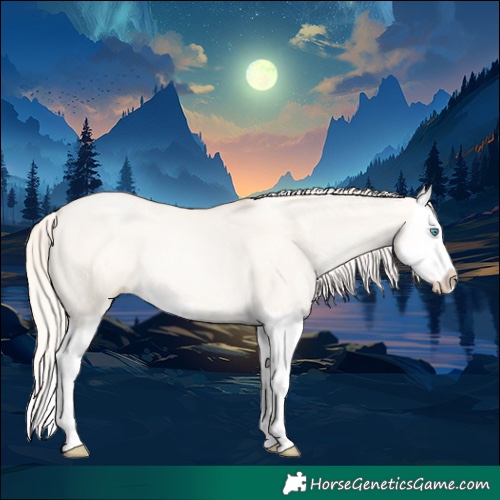 Horse Color:Gold Cream Champagne Pearl Dun Splash Rabicano 