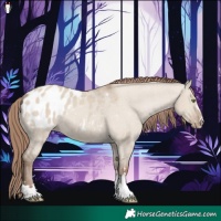 Horse Color:Classic Champagne Dun Blanket