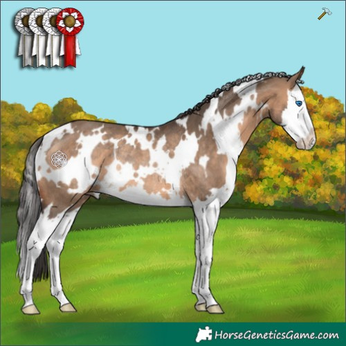 Horse Color:White Spotted Brown Dun Splash Rabicano 