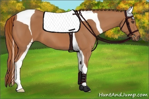Horse Color:Chestnut Tobiano 