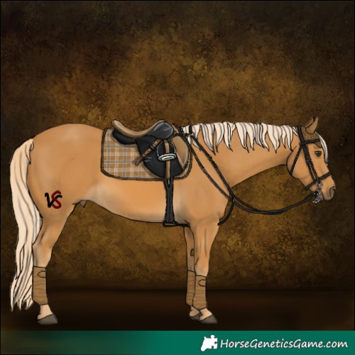 Horse Color:Palomino