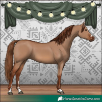 Horse Color:Red Dun 