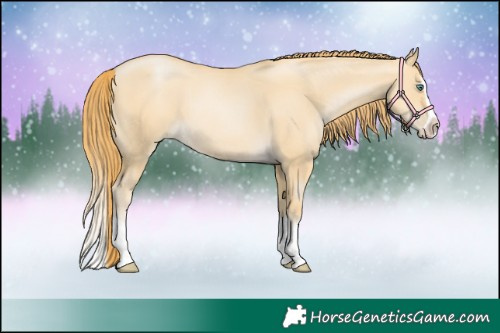 Horse Color:Smoky Grullo Pearl Splash 