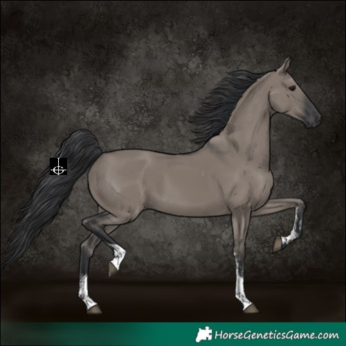 Horse Color:Grullo Sabino Rabicano