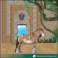 Horse Color:Powder White Liver Red Dun 