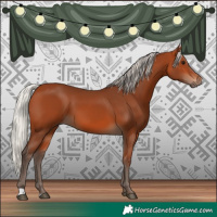 Horse Color:Silver Bay 