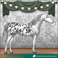 Horse Color:Black Appaloosa 