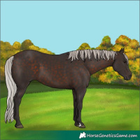 Horse Color:Silver Brown 