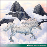 Horse Color:Silver Blue Roan 