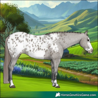 Horse Color:Grullo Frame Blanket 