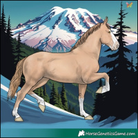 Horse Color:Gold Champagne Splash 