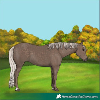 Horse Color:Silver Black