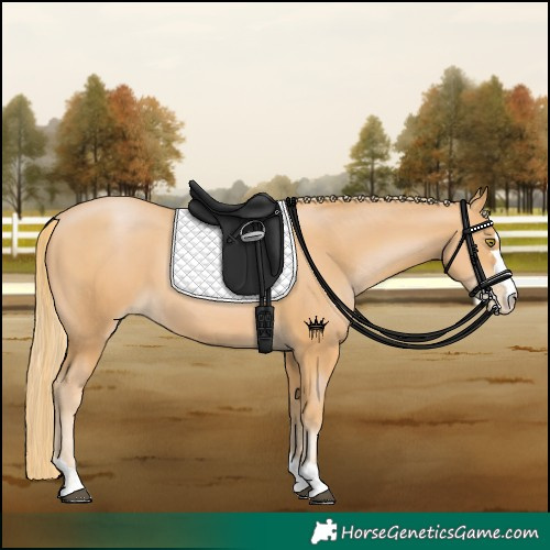 Horse Color:Chestnut Pearl 