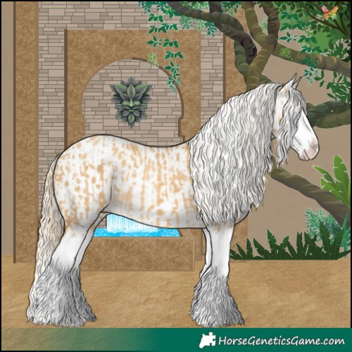 Horse Color:Palomino Dun Splash and Palomino Dun Splash Appaloosa