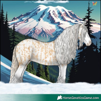 Horse Color:Palomino Dun Splash  and Palomino Dun Splash Appaloosa 