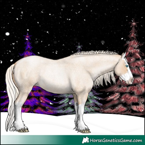 Horse Color:Palomino Roan Pearl Splash