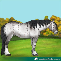 Horse Color:Platinum Brown Onyx Tobiano Brindle 