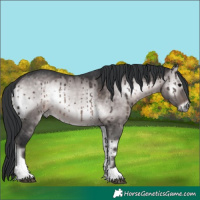 Horse Color:Platinum Brown Onyx Tobiano Brindle 