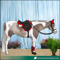 Horse Color:Chocolate Silver Smoky Black Splash Tobiano 