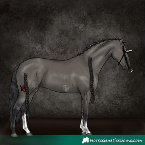 Horse Color:Grullo Sabino Rabicano 