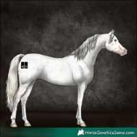 Horse Color:Gray Silver Amber Cream Champagne Roan Dun Splash Tobiano Frame Appaloosa Rabicano 
