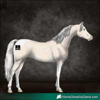 Horse Color:Cremello Tobiano 