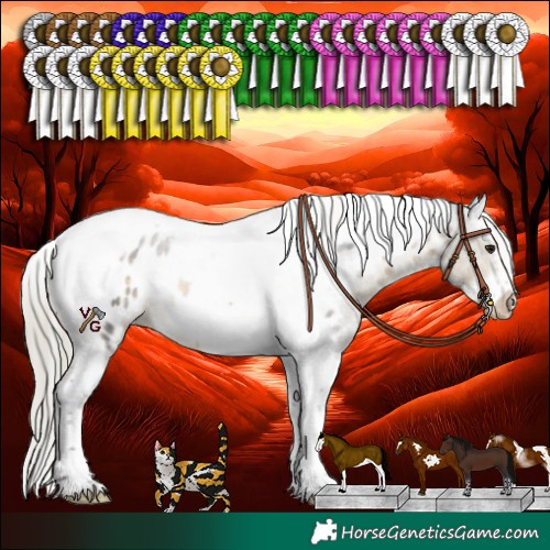 Horse Color:White Spotted Silver Buckskin Splash Tobiano Frame Near Leopard Rabicano 