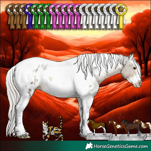 Horse Color:White Spotted Silver Buckskin Splash Tobiano Frame Appaloosa Rabicano