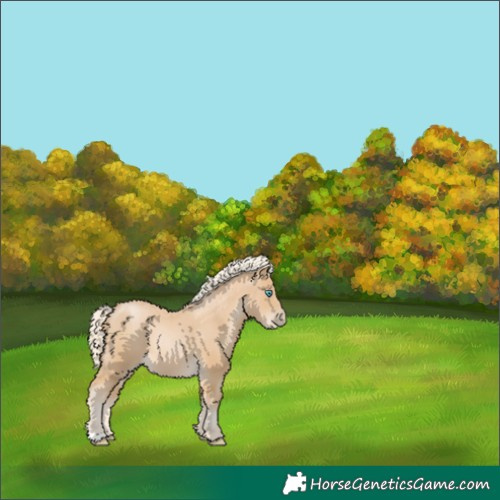 Horse Color:Palomino Pearl 