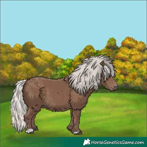 Horse Color:Silver Black 
