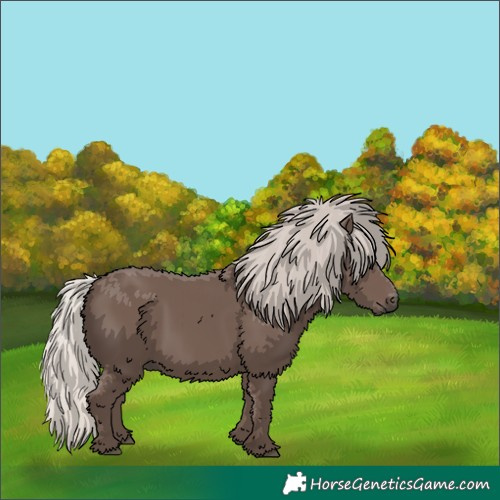 Horse Color:Silver Black 
