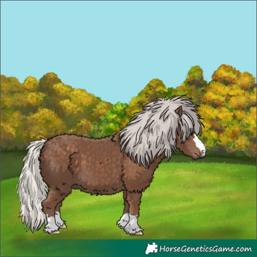 Horse Color:Silver Black 