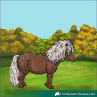 Horse Color:Silver Black 