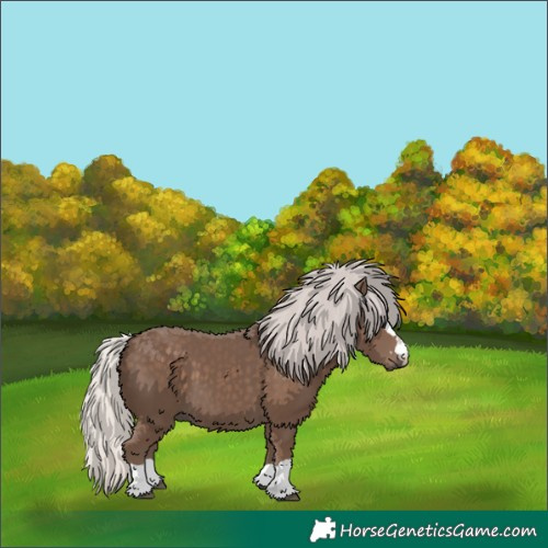 Horse Color:Silver Black 
