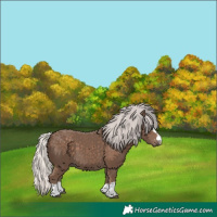 Horse Color:Silver Black 