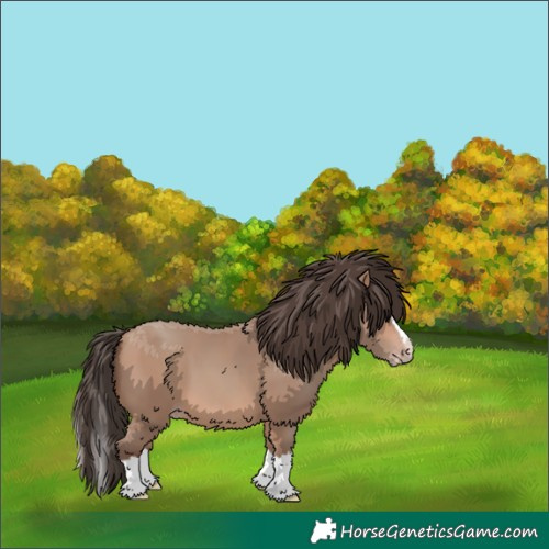 Horse Color:Amber Champagne Splash 