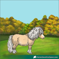 Horse Color:Silver Buckskin
