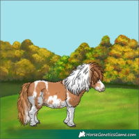 Horse Color:Chestnut Tobiano Frame 
