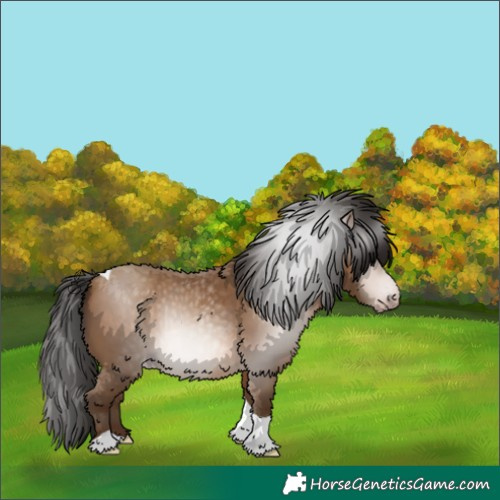 Horse Color:Gray Amber Champagne Tobiano 