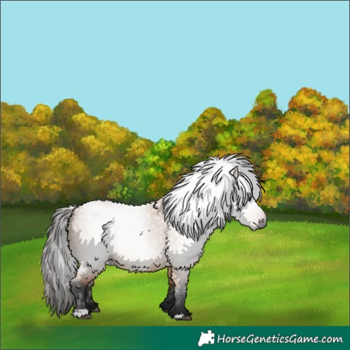 Horse Color:Gray Bay Dun 