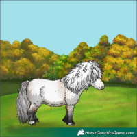 Horse Color:Gray Bay Dun 
